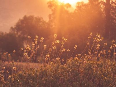 Some Things Never Change, Then&nbsp;Again…