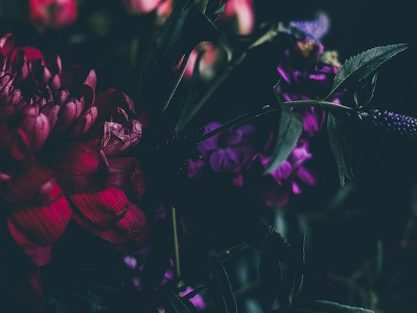 Why I Love&nbsp;Today